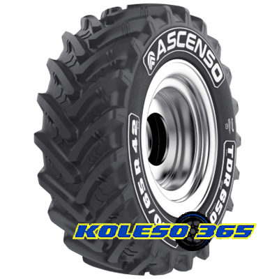 Ascenso TDR 650 (с/г) 480/65 R28 142D