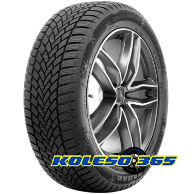 Radar Dimax Winter 205/60 R16 96V XL