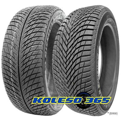 Michelin Pilot Alpin 5 265/30 R19 93W XL